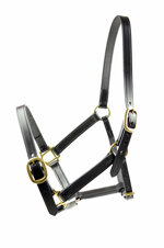leather-training-halter-ascot