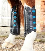 premier-equine-racing-rear-protectors-medium