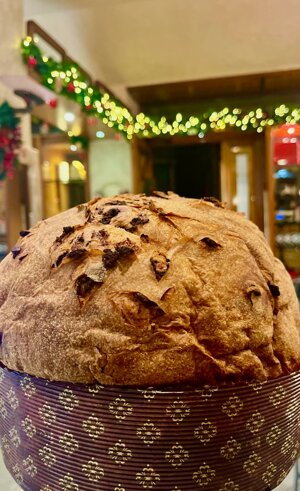 panettone-con-gocce-di-cioccolato-fondente