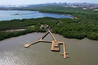 ecoparque cienaga de mallorquin barranquilla.jpeg