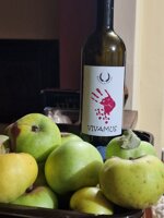 vivamus-white-igp-2023