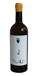 album-white-igp-2021