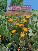 electronic-gift-card