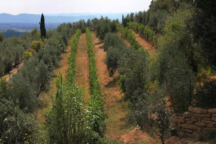 8a15edd1f37bf0b39154e8b262da9d7c3fd97cf0 8a15edd1f37bf0b39154e8b262da9d7c3fd97cf0