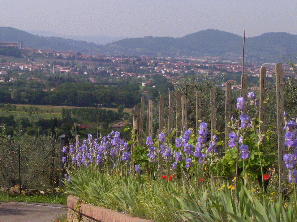 electronic-gift-card