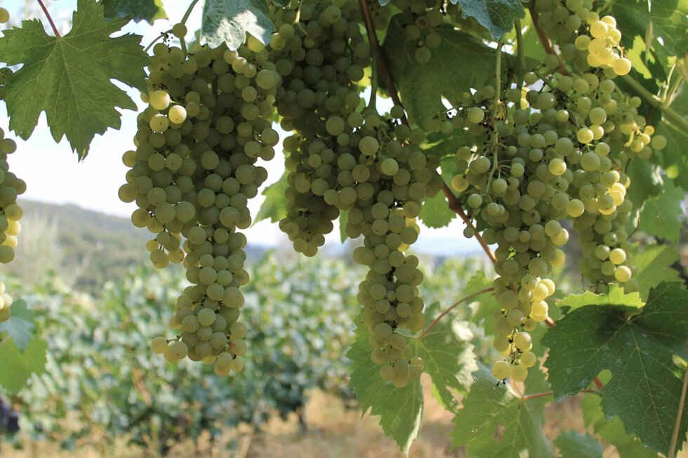 e55b4445e7dc4aea8da8211b3667a3d36ca40855 e55b4445e7dc4aea8da8211b3667a3d36ca40855