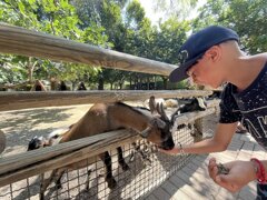 eyJpdCI6IkJ1ZmZldCBjb2xhemlvbmUgZG9sY2UgZSBzYWxhdG8gTGlnbmFubyBTYWJiaWFkb3JvIHZpY2lubyBhdHRyYXppb25pIn0=