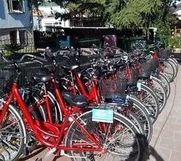 imgi_29_185562047 - copia.jpeg imgi_29_185562047 - copia.jpeg