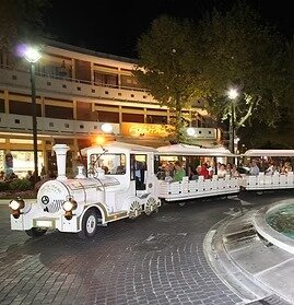 imgi_44_trenino 8.jpeg