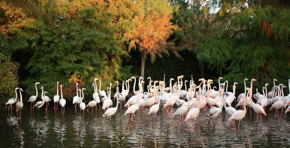 Parco Zoo Punta Verde Lignano Parco Zoo Punta Verde Lignano