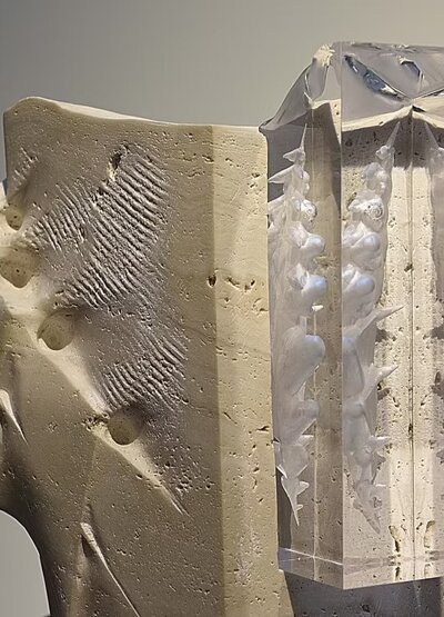 imgi_29_61d683_807f64a353f444b99fe00daf793768d6~mv2_d_7360_4912_s_4_2