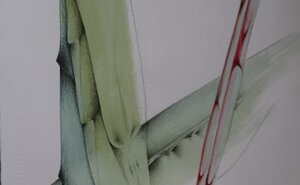 464c5b23f5839dbc5a48ab761c961d66ccae8341