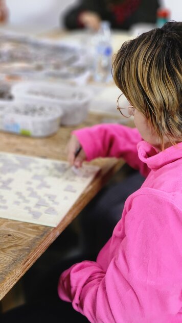 20251103_114521.jpeg 20251103_114521.jpeg