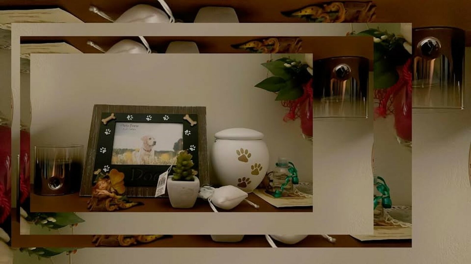 468080263_122127682832499457_5590244573995102344_n.jpeg 468080263_122127682832499457_5590244573995102344_n.jpeg