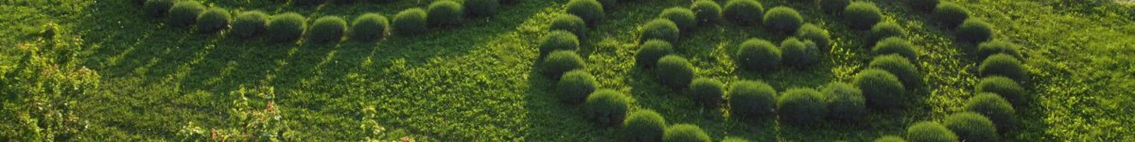 fascia_con_spirale 1200x150.jpeg