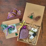 box-fiori-di-lavanda