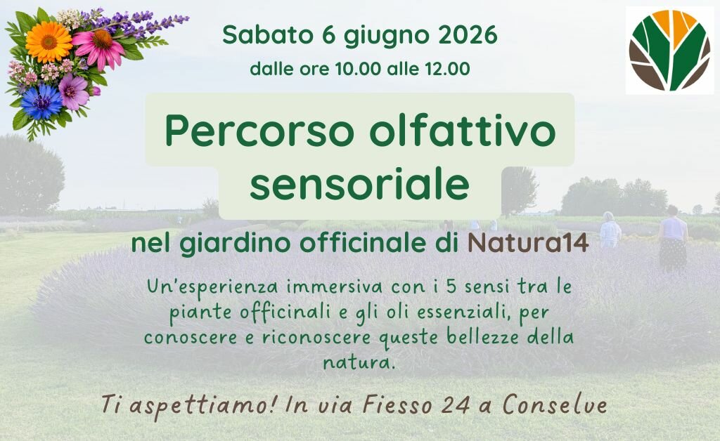 Percorso olfattivo sensoriale