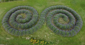 spirale%202026-6-d.jpeg spirale%202026-6-d.jpeg