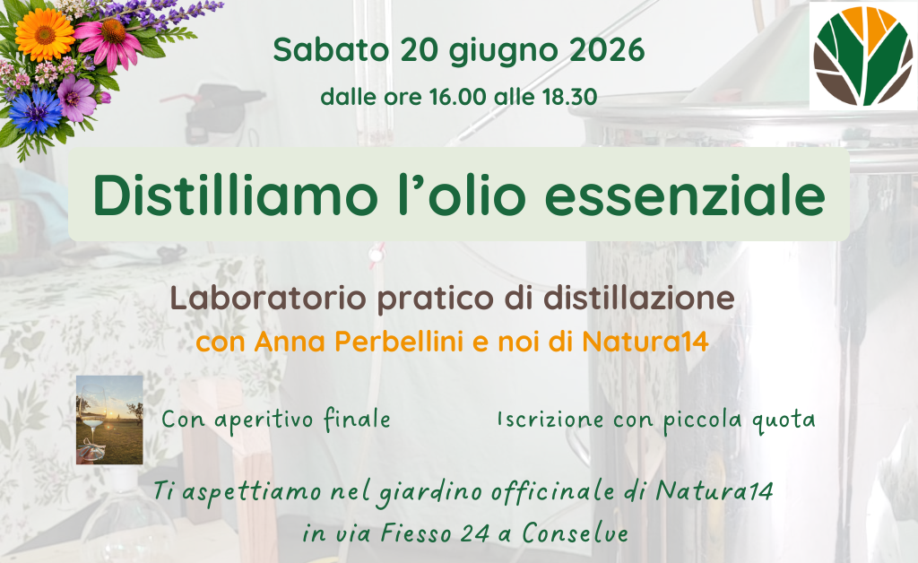 natura14---locandina-laboratorio-distillazione-20-06-2026--copertina.png natura14---locandina-laboratorio-distillazione-20-06-2026--copertina.png
