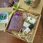 box-fiori-di-lavanda