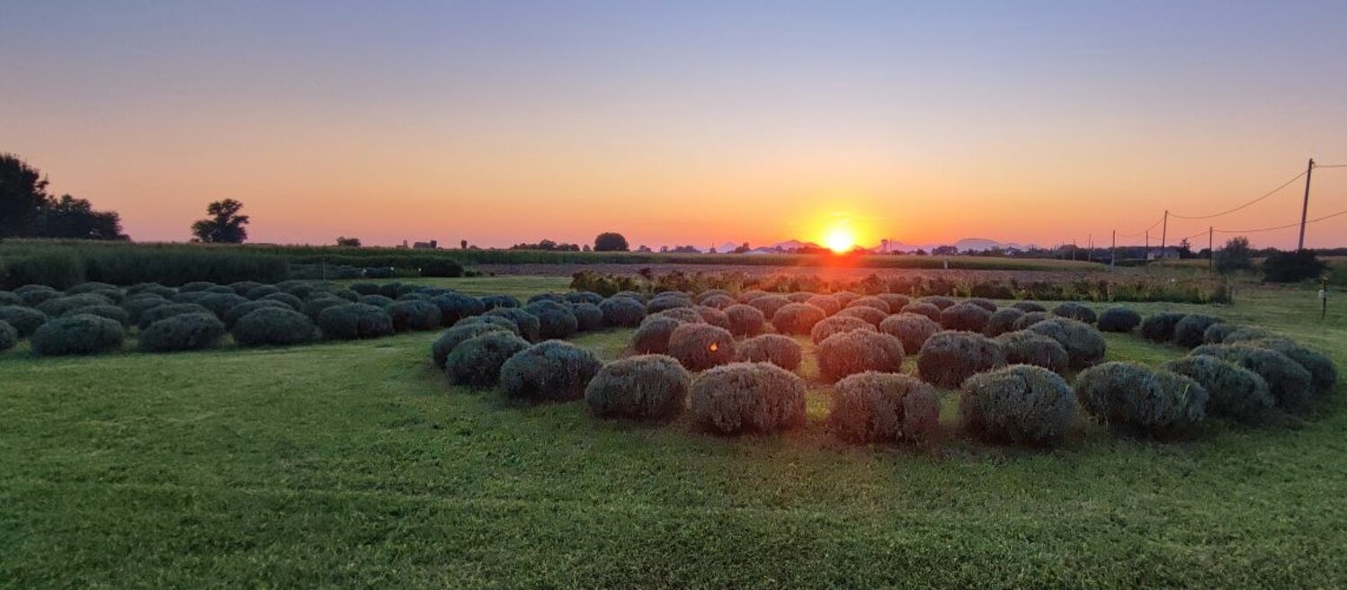 panorama spirale1 1150x500.jpeg panorama spirale1 1150x500.jpeg