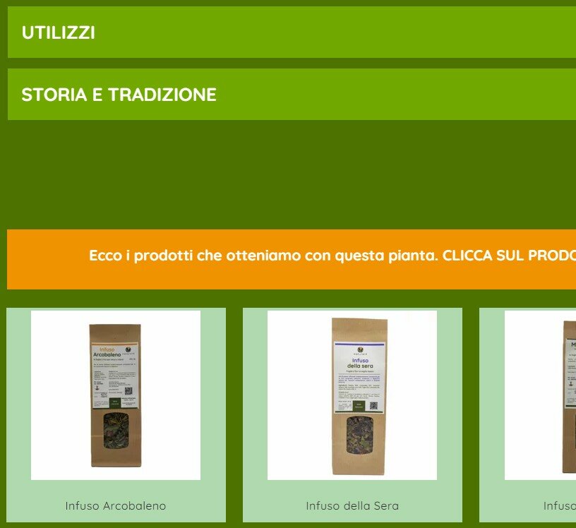 il-nuovo-sito-2025---2.jpeg il-nuovo-sito-2025---2.jpeg