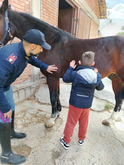 immagine whatsapp 2025-08-06 ore 16.19.59_f6e441b1.jpeg