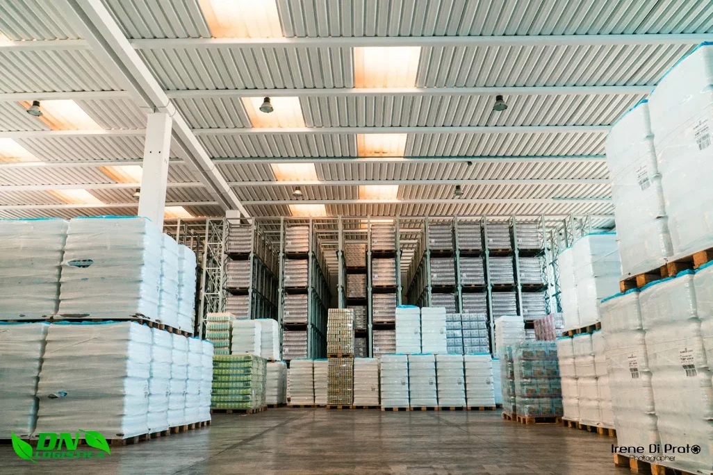 imgi_3_dsc08010-2 (1)