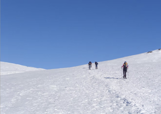 screenshot 2025-11-10 004422