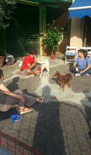 img_20131001_wa0018.jpeg img_20131001_wa0018.jpeg