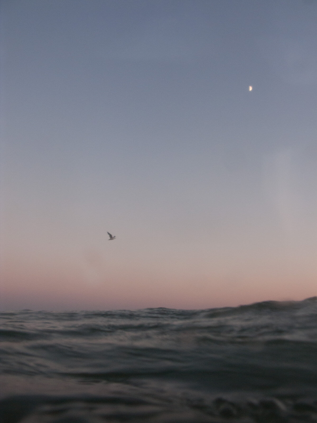 027_img_3646.jpg 027_img_3646.jpg