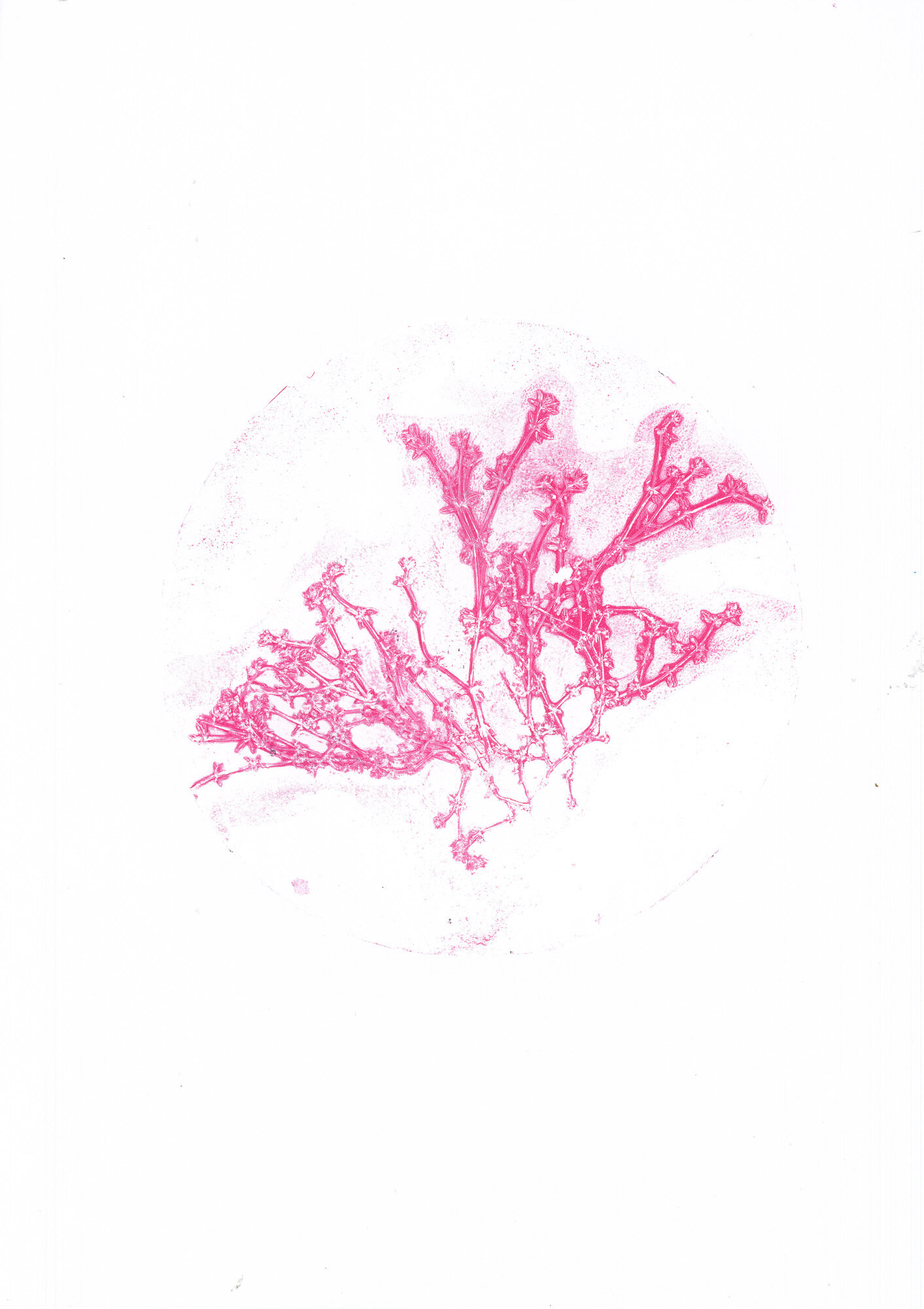 09-caglio-murale_02_gelli.jpg 09-caglio-murale_02_gelli.jpg