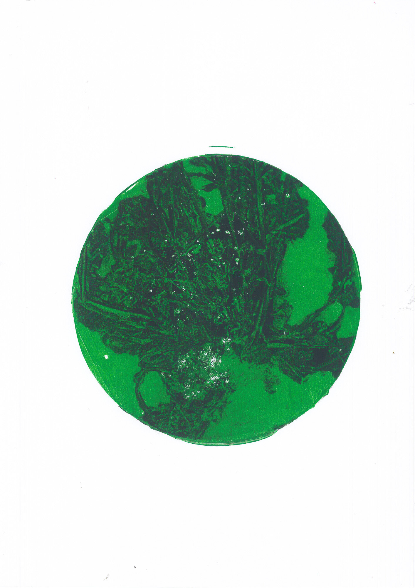 01-radichiella.della_.terra_.santa_02_gelli.jpg 01-radichiella.della_.terra_.santa_02_gelli.jpg