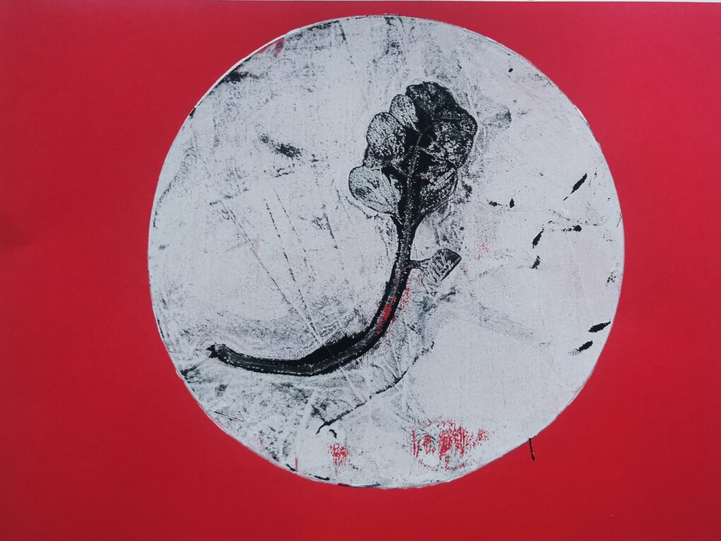 gelli print su pianta