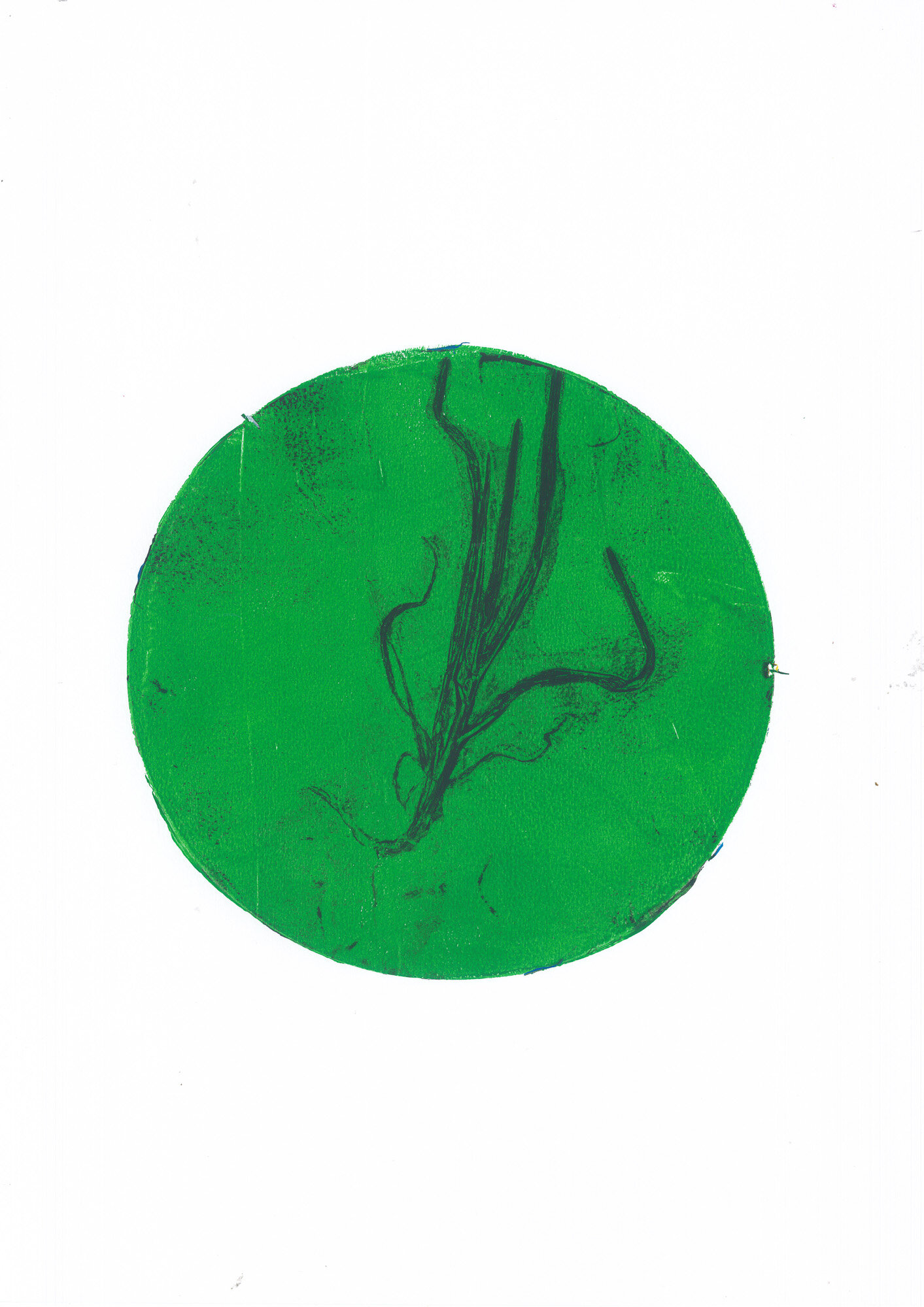 06-forasacco-rosso_02_gelli.jpg 06-forasacco-rosso_02_gelli.jpg