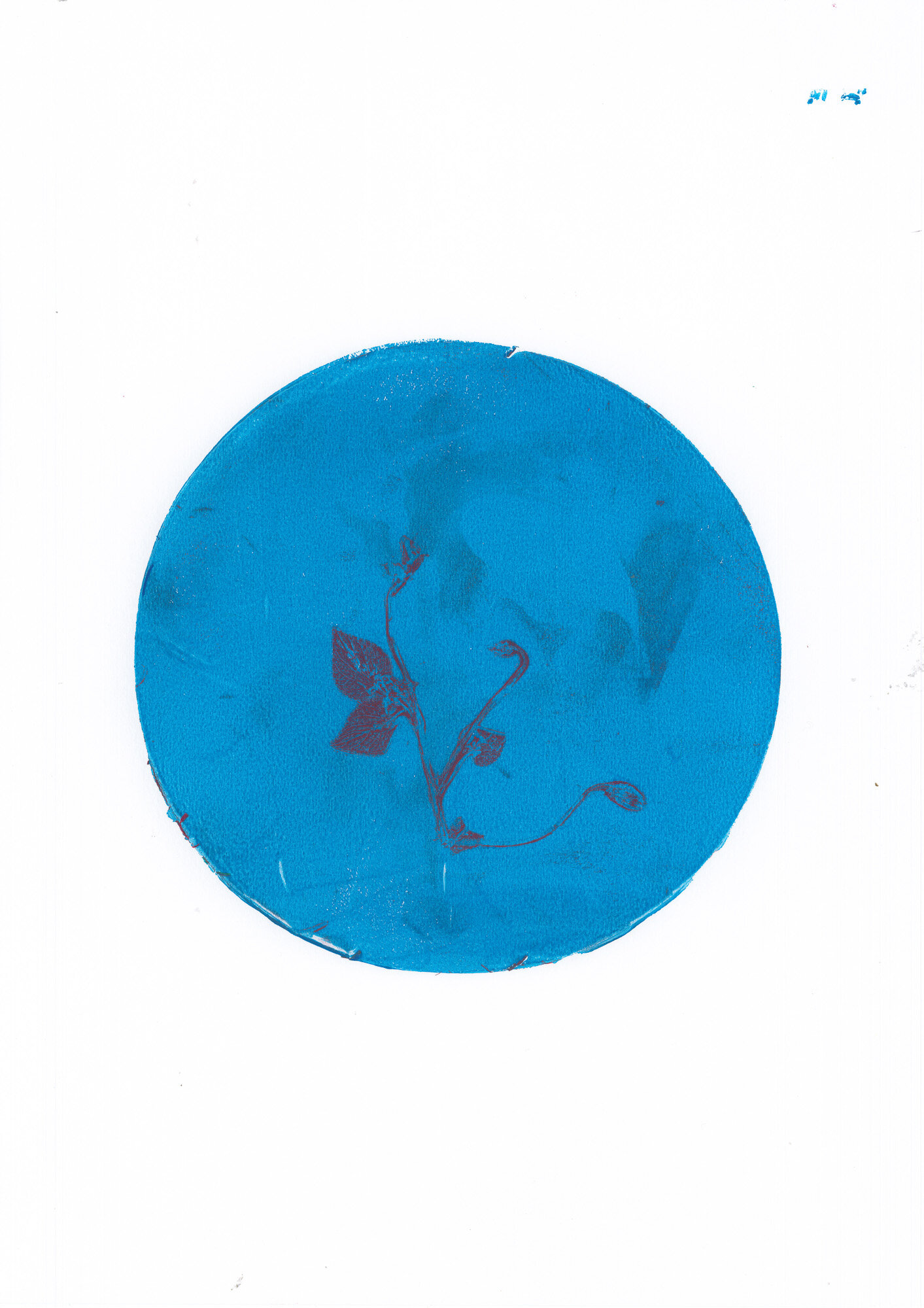 08-violetta-silvestre_03_gelli.jpg 08-violetta-silvestre_03_gelli.jpg