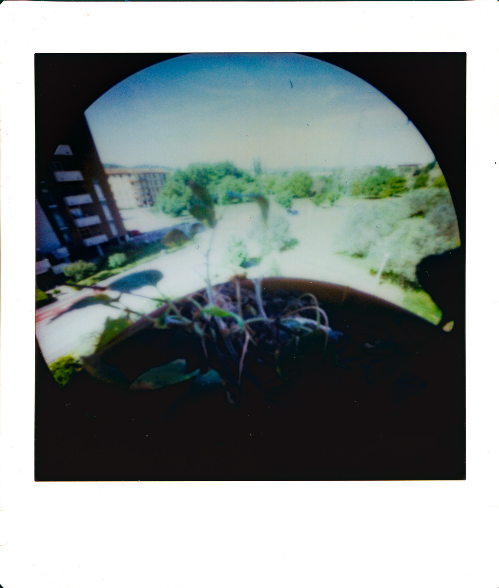 2024-04-28_arezzo_pinholeday_003.jpg