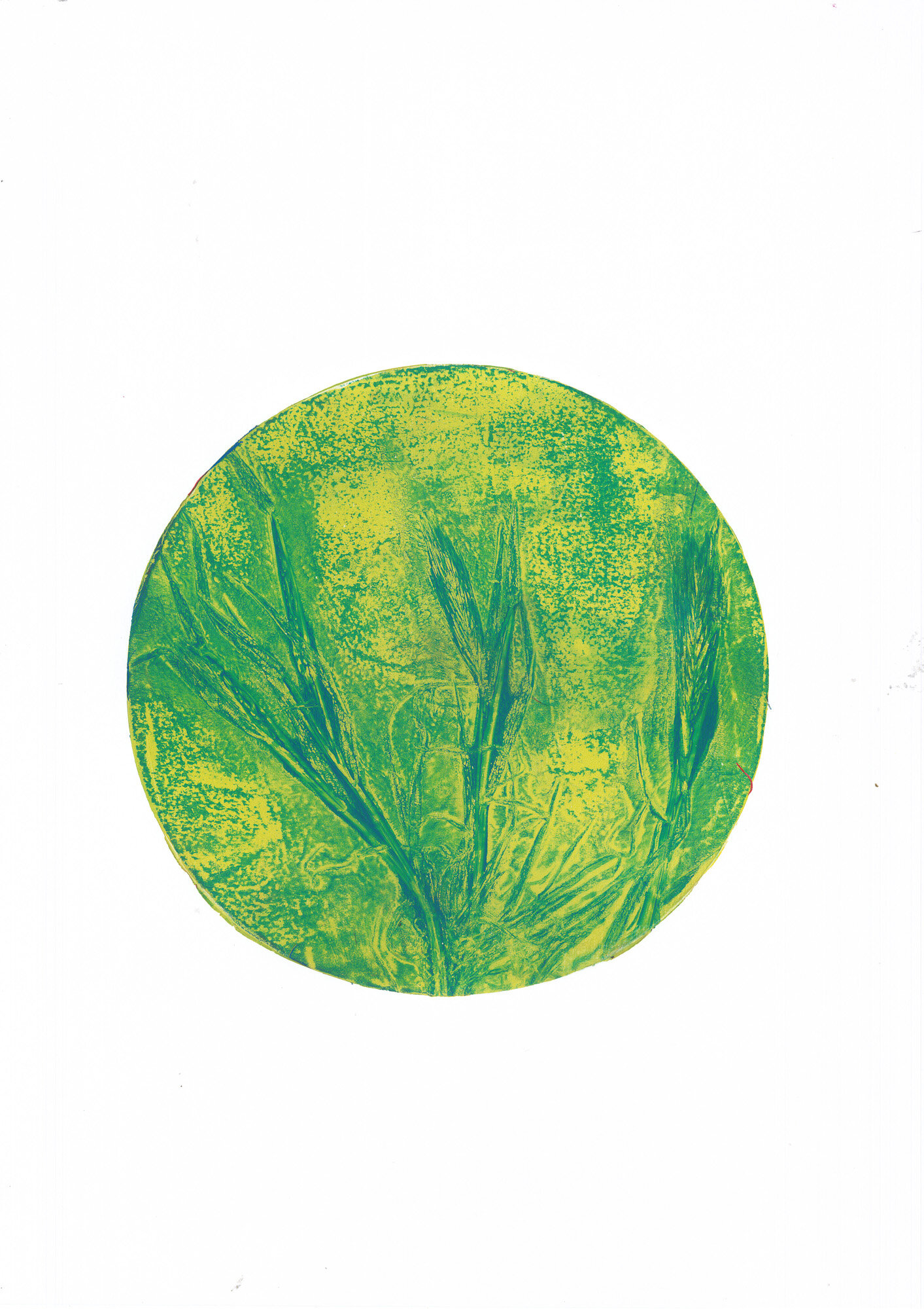 05-orzo-selvatico_02_gelli.jpg 05-orzo-selvatico_02_gelli.jpg