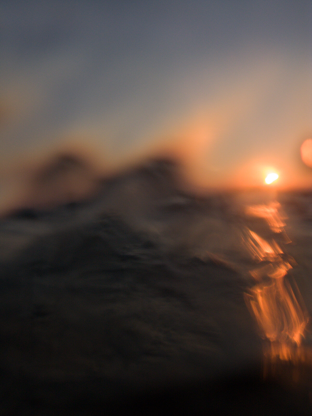 017_img_3569.jpg 017_img_3569.jpg