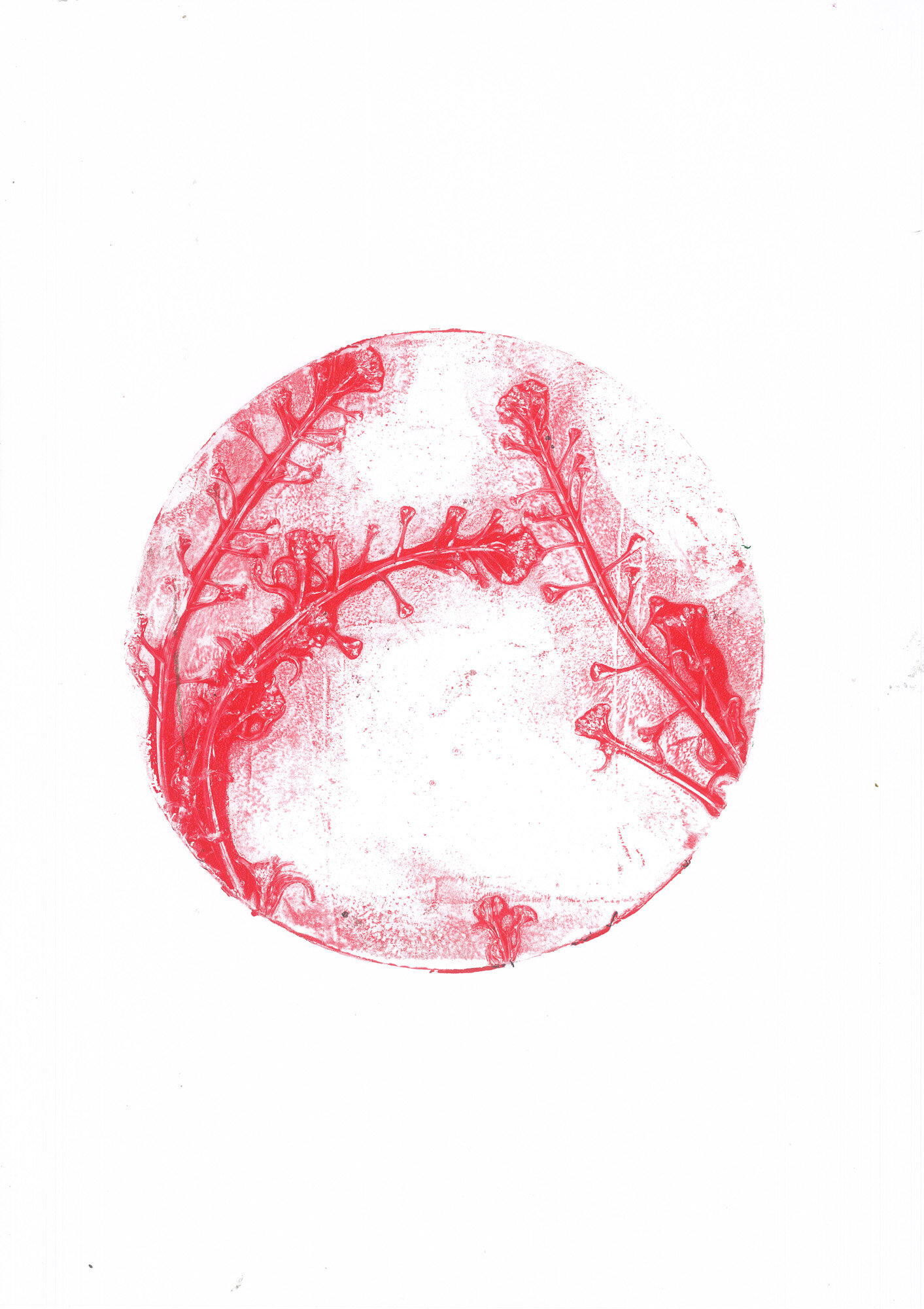 02-borsa-pastore_01_gelli.jpg 02-borsa-pastore_01_gelli.jpg