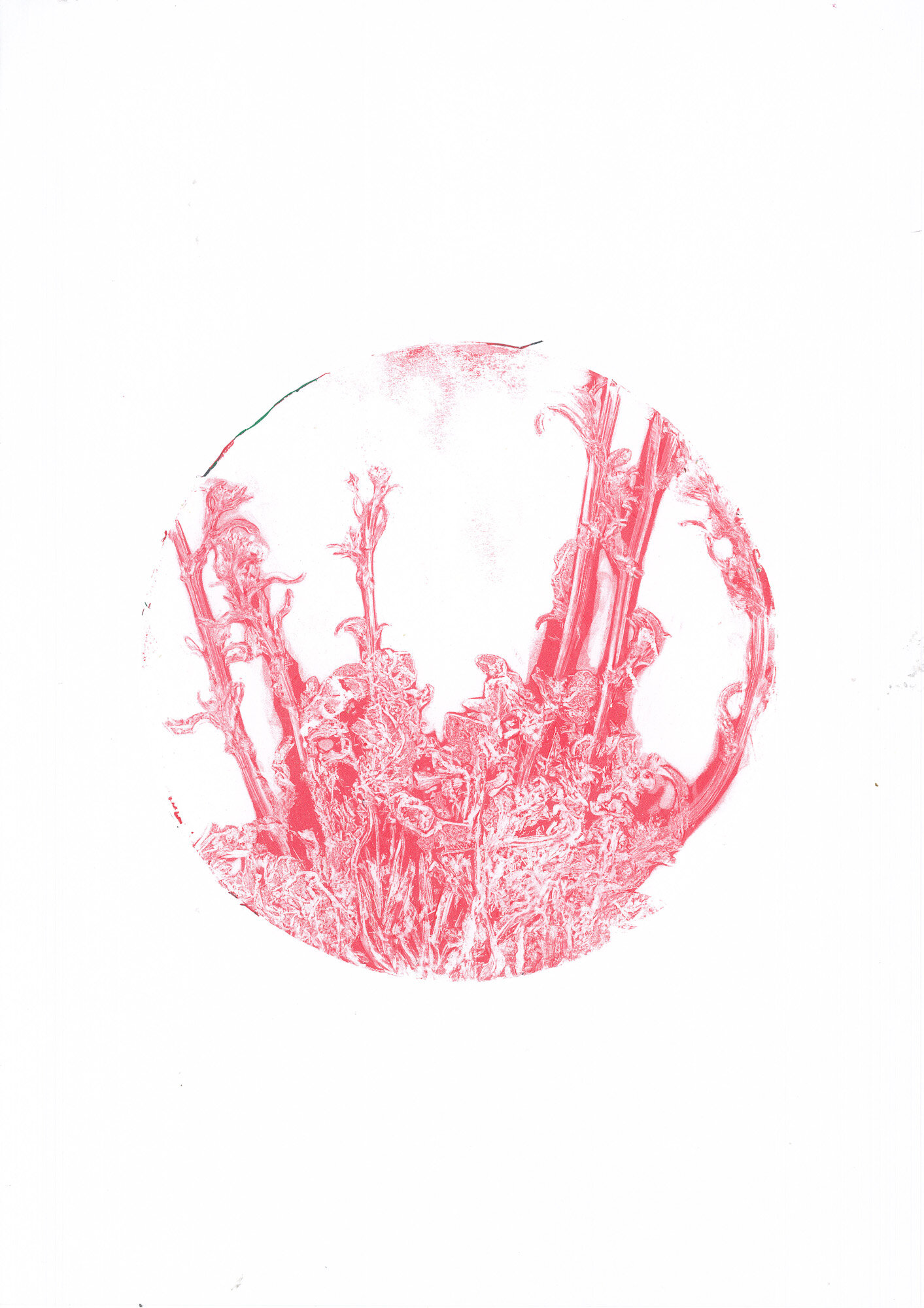 02-borsa-pastore_02_gelli.jpg 02-borsa-pastore_02_gelli.jpg