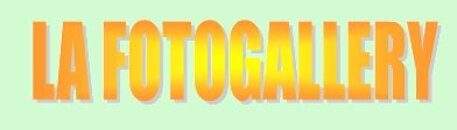fotogallery.jpeg