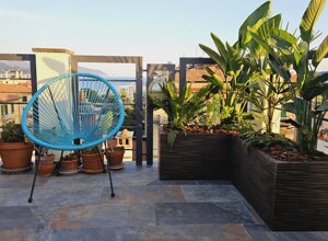 Terrazzo tropicale con sedia blu e piante in vaso