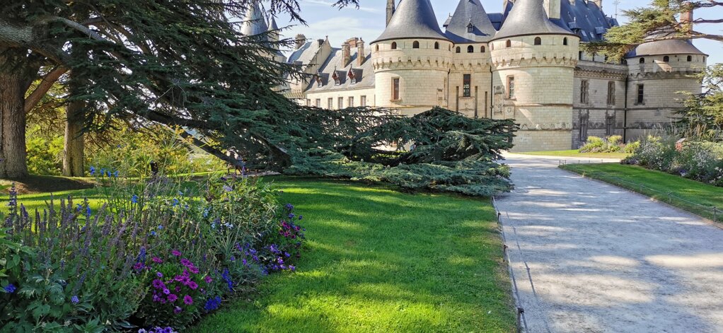 Cammino acciottolato nel verde verso un castello storico con giardino fiorito.