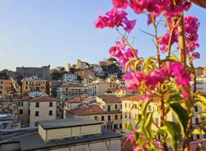 Vista su una città con fiori tropicali in primo piano
