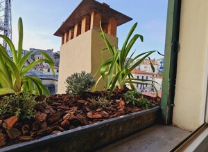 Terrazzo con piante tropicali e vista sulla città.