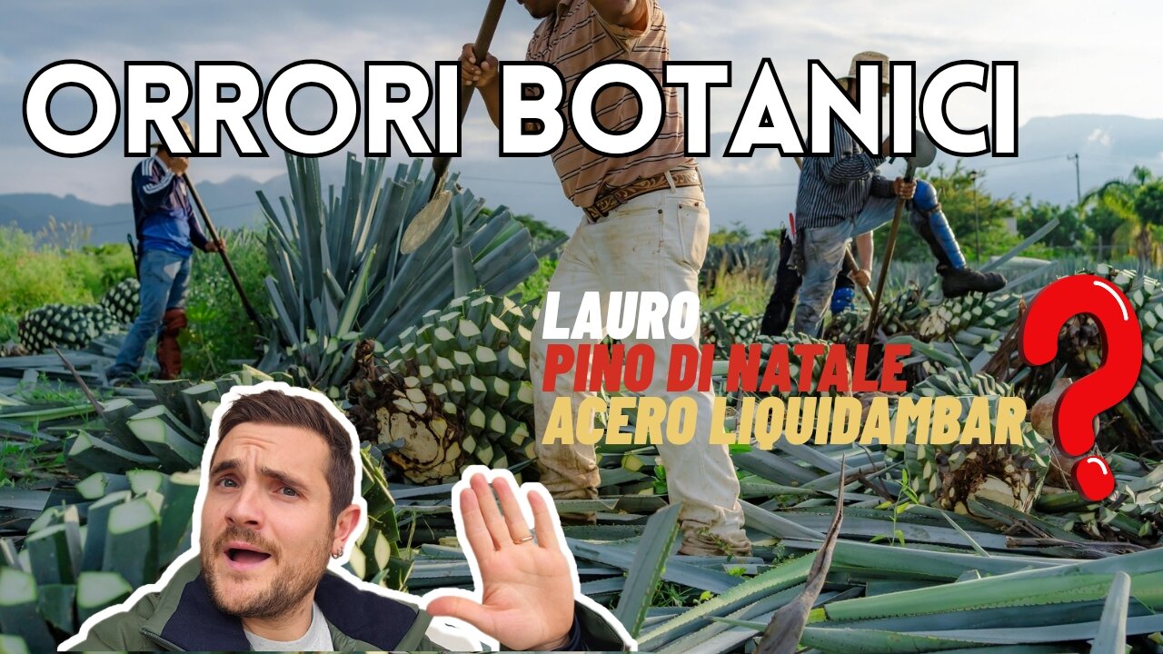 Attenzione ai FALSI AMICI IN BOTANICA: 7 piante che chiamiamo nel modo sbagliato