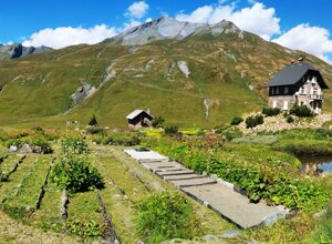 Vista del giardino alpino La Chanousia con specie alpine e una casa sullo sfondo, sotto un cielo azzurro