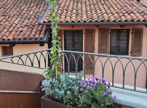 Terrazzo signorile a Pinerolo con vaso di gelsomino rampicante per privacy Terrazzo signorile a Pinerolo con vaso di gelsomino rampicante per privacy