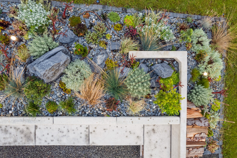 Giardino contemporaneo con rocce e piante ornamentali